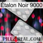 Étalon Noir 9000 17